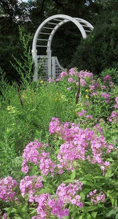 Simply Sustainable Landscapes by Nate Miller